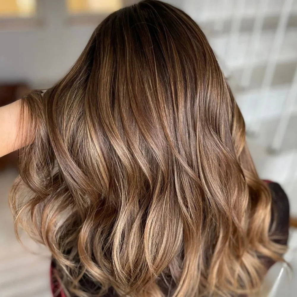 hair highlights services